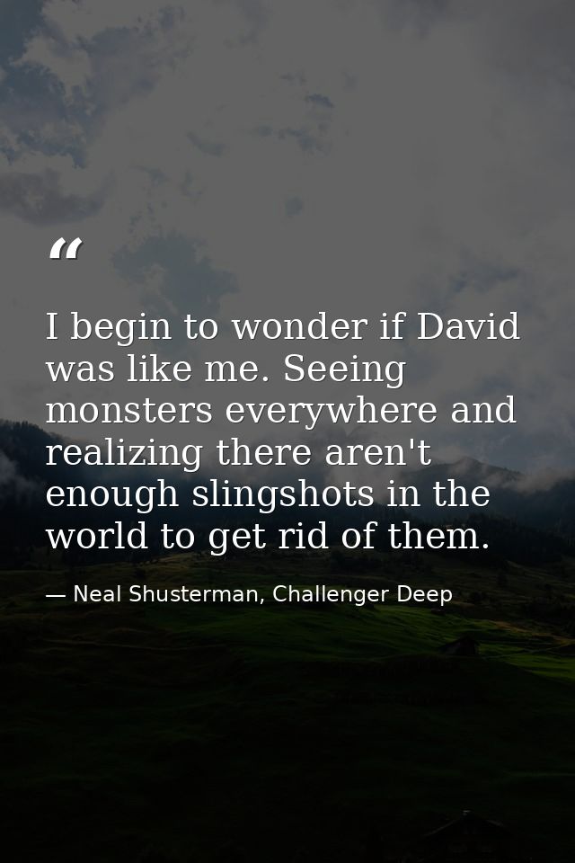 I begin to wonder if David was like me. Seeing monsters everywhere and realizing there aren't enough slingshots in the w — Neal Shusterman, Challenger Deep