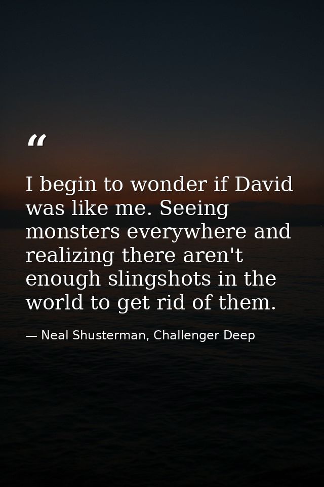 I begin to wonder if David was like me. Seeing monsters everywhere and realizing there aren't enough slingshots in the w — Neal Shusterman, Challenger Deep