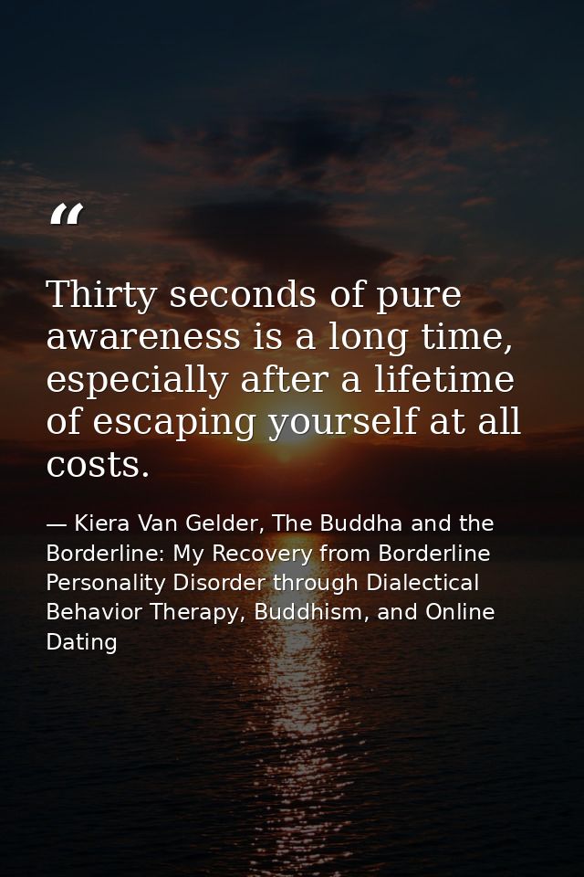 Thirty seconds of pure awareness is a long time, especially after a lifetime of escaping yourself at all costs. — Kiera Van Gelder, The Buddha and the Borderline: My Recovery from Borderline Personality Disorder through Dialectical Behavior Therapy, Buddhism, and Online Dating