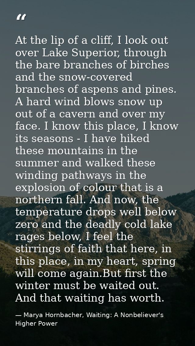 At the lip of a cliff, I look out over Lake Superior, through the bare branches of birches and the snow-covered branches — Marya Hornbacher, Waiting: A Nonbeliever's Higher Power