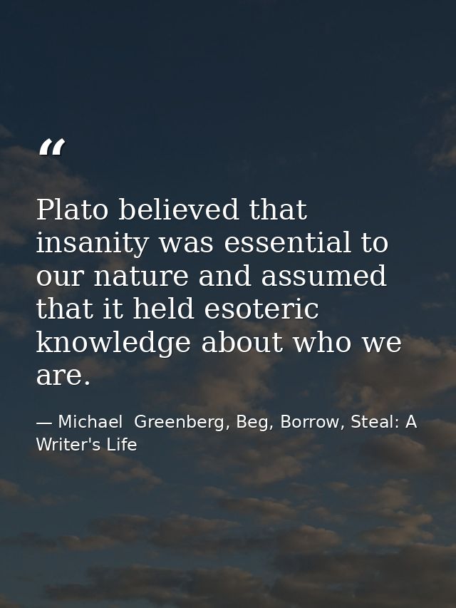 Plato believed that insanity was essential to our nature and assumed that it held esoteric knowledge about who we are. — Michael  Greenberg, Beg, Borrow, Steal: A Writer's Life