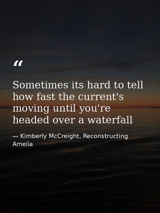 Sometimes its hard to tell how fast the current's moving until you're headed over a waterfall — Kimberly McCreight, Reconstructing Amelia