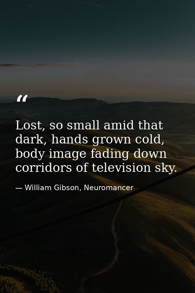 Lost, so small amid that dark, hands grown cold, body image fading down corridors of television sky. — William Gibson, Neuromancer