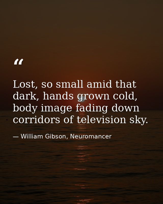 Lost, so small amid that dark, hands grown cold, body image fading down corridors of television sky. — William Gibson, Neuromancer