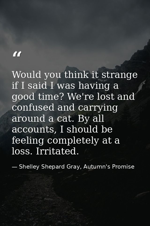Would you think it strange if I said I was having a good time? We're lost and confused and carrying around a cat. By all — Shelley Shepard Gray, Autumn's Promise