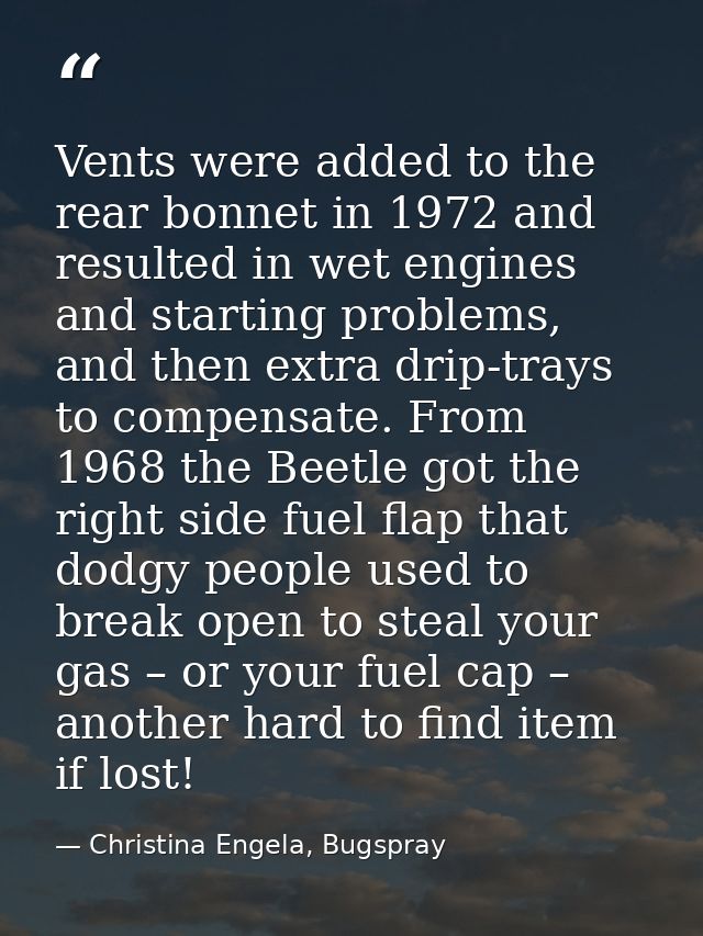 Vents were added to the rear bonnet in 1972 and resulted in wet engines and starting problems, and then extra drip-trays — Christina Engela, Bugspray