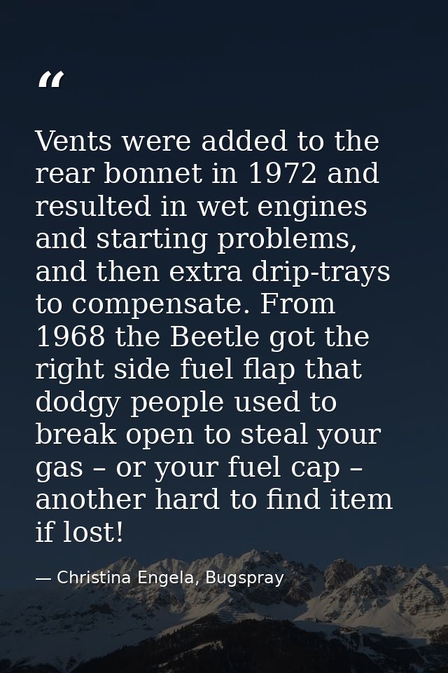 Vents were added to the rear bonnet in 1972 and resulted in wet engines and starting problems, and then extra drip-trays — Christina Engela, Bugspray