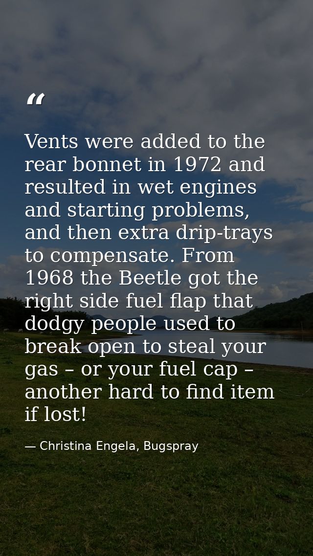 Vents were added to the rear bonnet in 1972 and resulted in wet engines and starting problems, and then extra drip-trays — Christina Engela, Bugspray