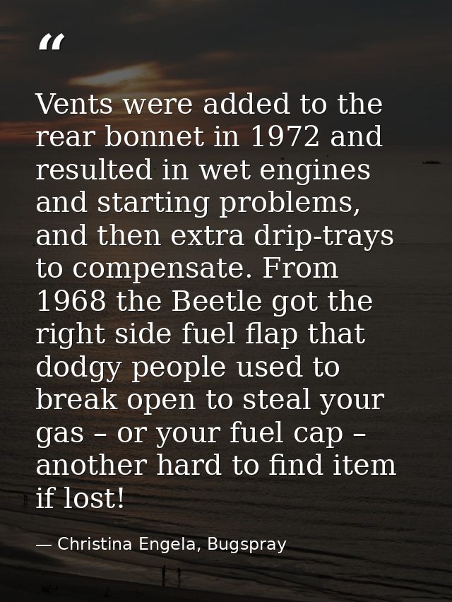 Vents were added to the rear bonnet in 1972 and resulted in wet engines and starting problems, and then extra drip-trays — Christina Engela, Bugspray