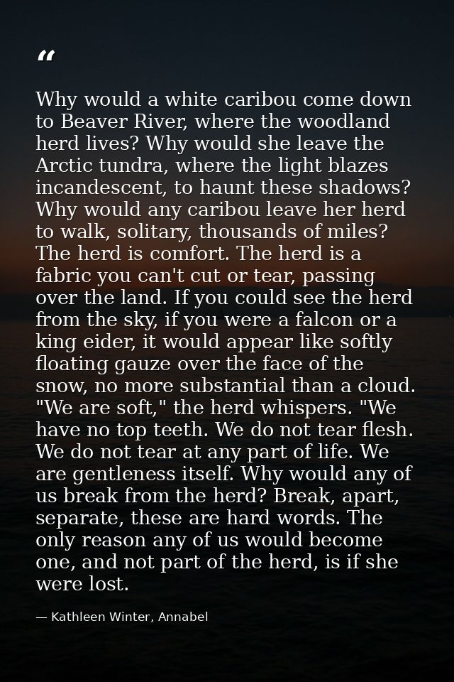 Why would a white caribou come down to Beaver River, where the woodland herd lives? Why would she leave the Arctic tundr — Kathleen Winter, Annabel