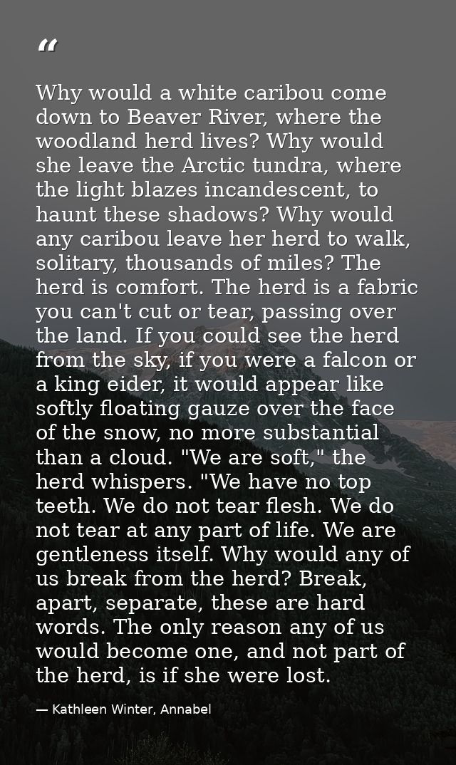 Why would a white caribou come down to Beaver River, where the woodland herd lives? Why would she leave the Arctic tundr — Kathleen Winter, Annabel