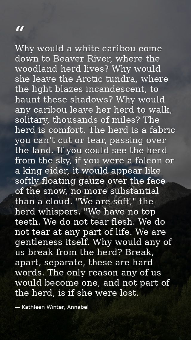 Why would a white caribou come down to Beaver River, where the woodland herd lives? Why would she leave the Arctic tundr — Kathleen Winter, Annabel