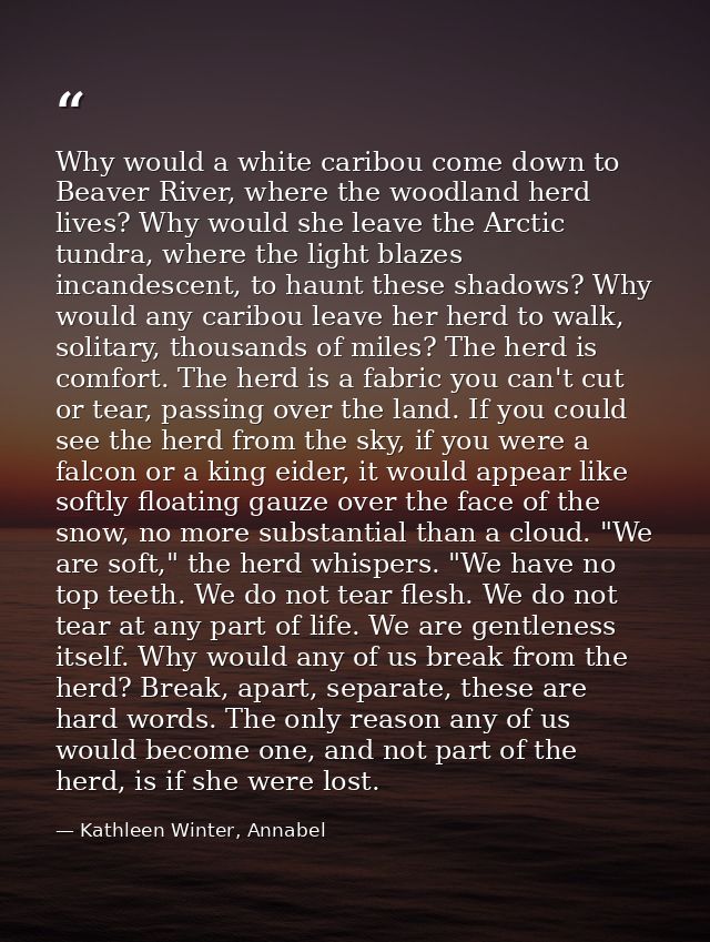 Why would a white caribou come down to Beaver River, where the woodland herd lives? Why would she leave the Arctic tundr — Kathleen Winter, Annabel