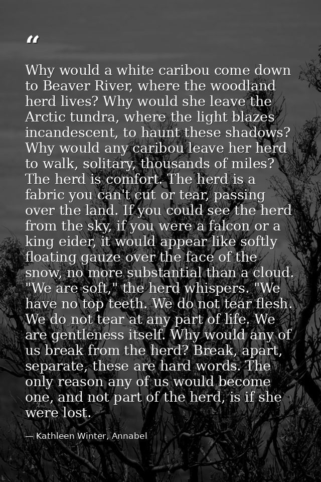 Why would a white caribou come down to Beaver River, where the woodland herd lives? Why would she leave the Arctic tundr — Kathleen Winter, Annabel