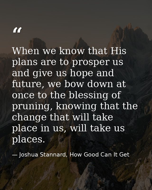 When we know that His plans are to prosper us and give us hope and future, we bow down at once to the blessing of prunin — Joshua Stannard, How Good Can It Get