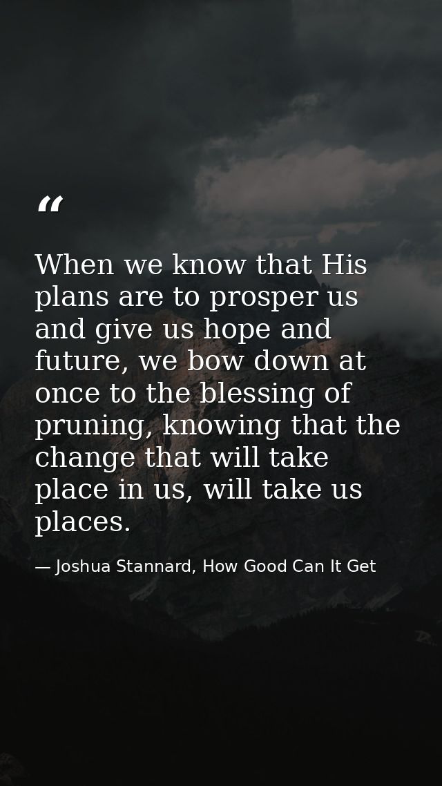When we know that His plans are to prosper us and give us hope and future, we bow down at once to the blessing of prunin — Joshua Stannard, How Good Can It Get