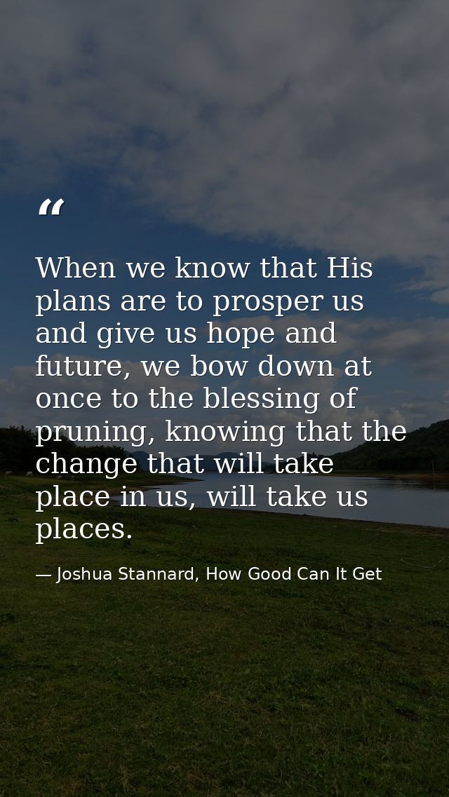 When we know that His plans are to prosper us and give us hope and future, we bow down at once to the blessing of prunin — Joshua Stannard, How Good Can It Get