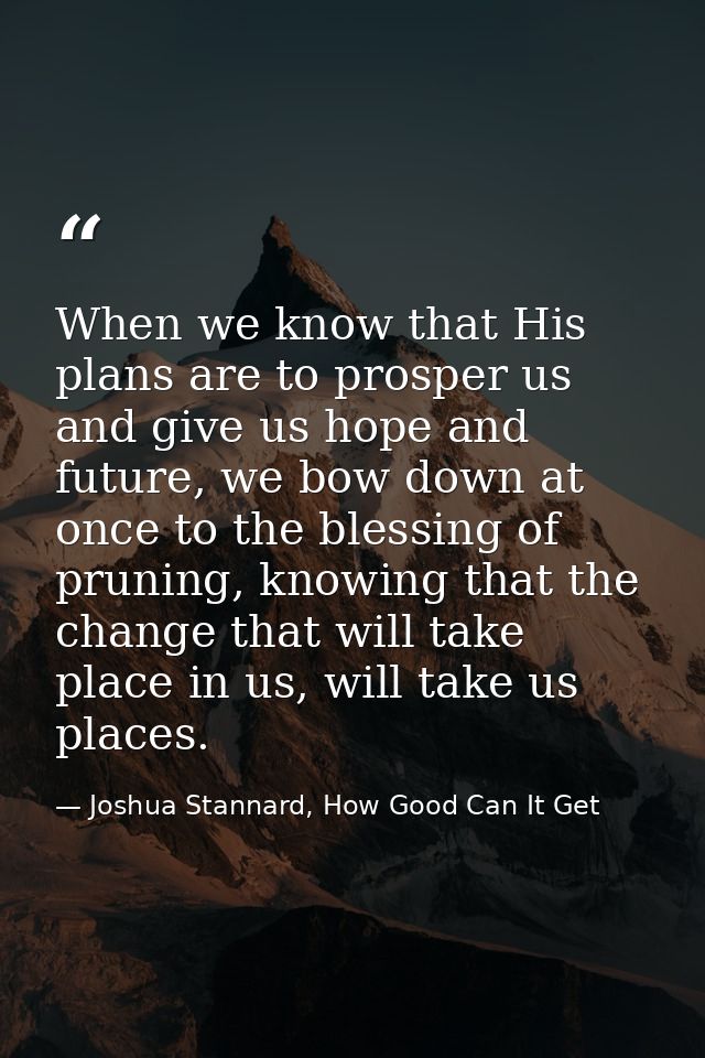When we know that His plans are to prosper us and give us hope and future, we bow down at once to the blessing of prunin — Joshua Stannard, How Good Can It Get