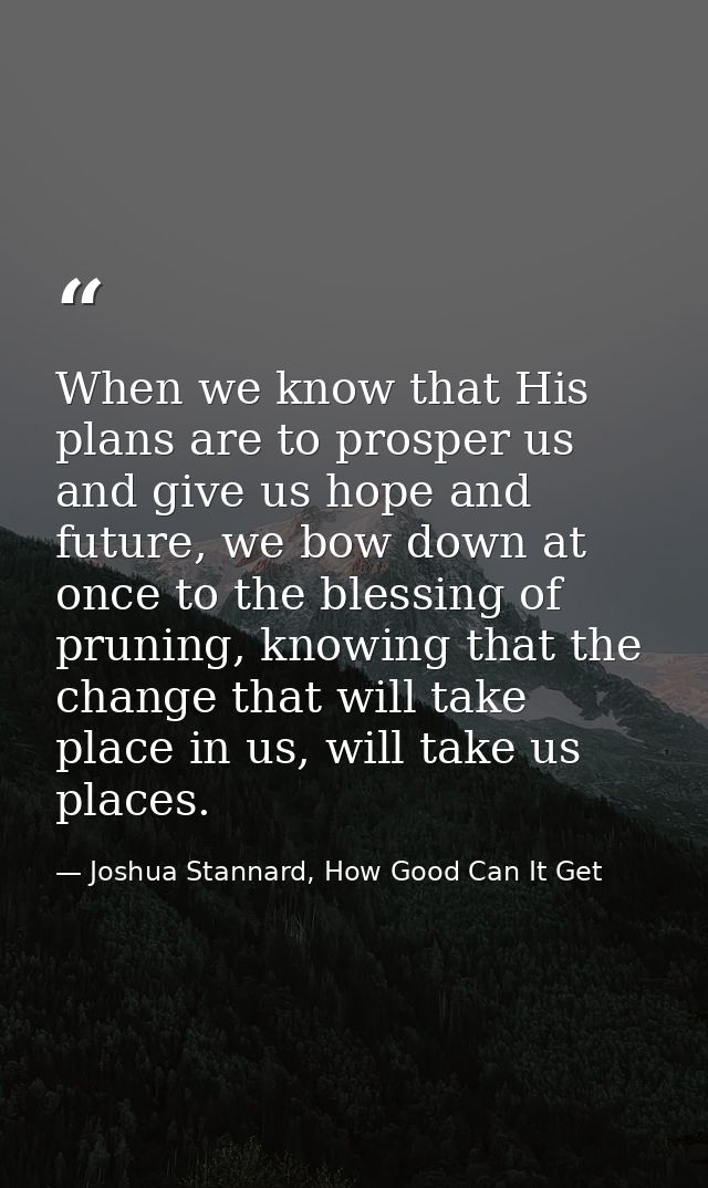 When we know that His plans are to prosper us and give us hope and future, we bow down at once to the blessing of prunin — Joshua Stannard, How Good Can It Get