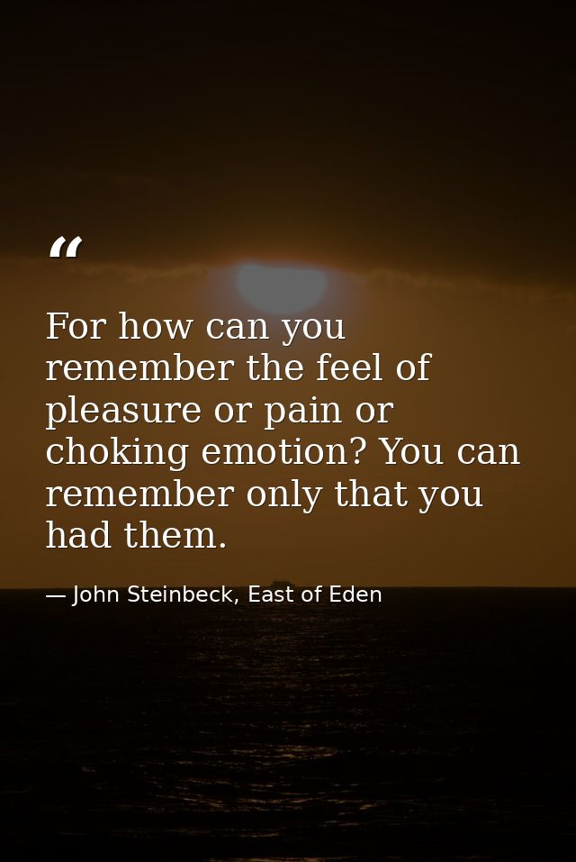 For how can you remember the feel of pleasure or pain or choking emotion? You can remember only that you had them. — John Steinbeck, East of Eden
