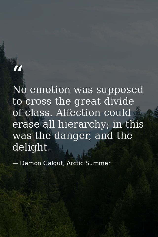 No emotion was supposed to cross the great divide of class. Affection could erase all hierarchy; in this was the danger, — Damon Galgut, Arctic Summer