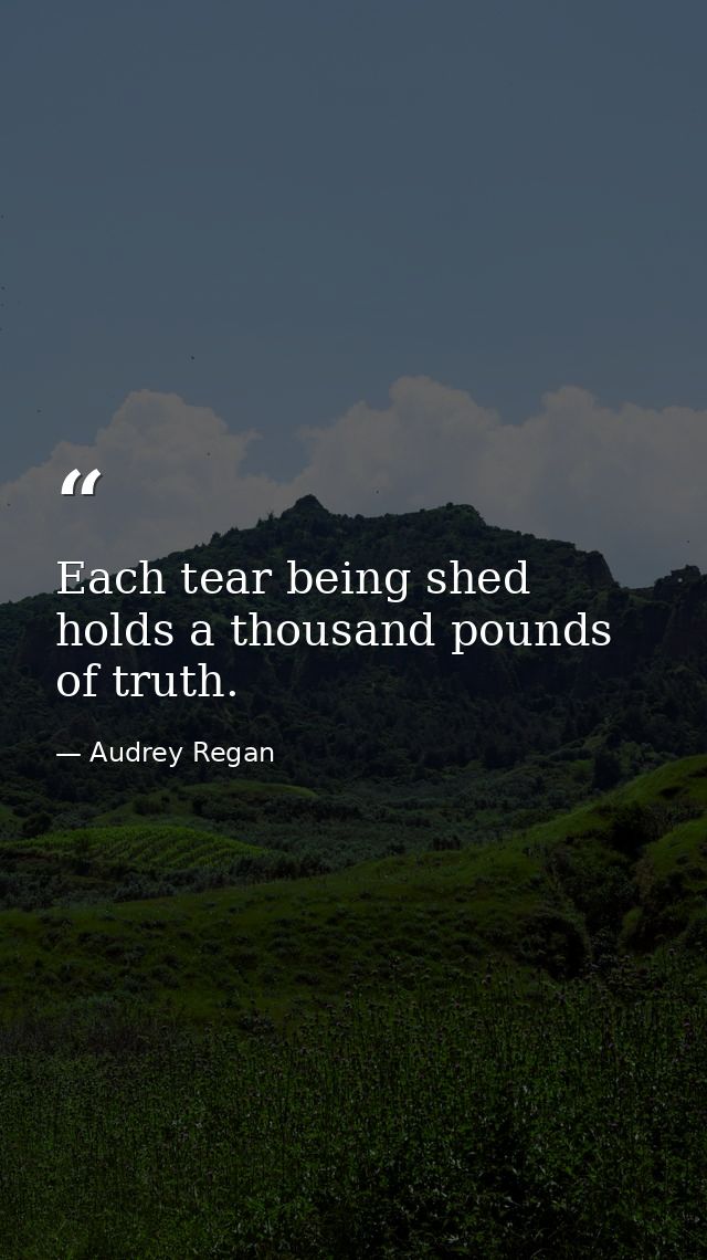 Each tear being shed holds a thousand pounds of truth. — Audrey Regan