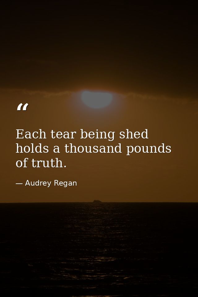 Each tear being shed holds a thousand pounds of truth. — Audrey Regan