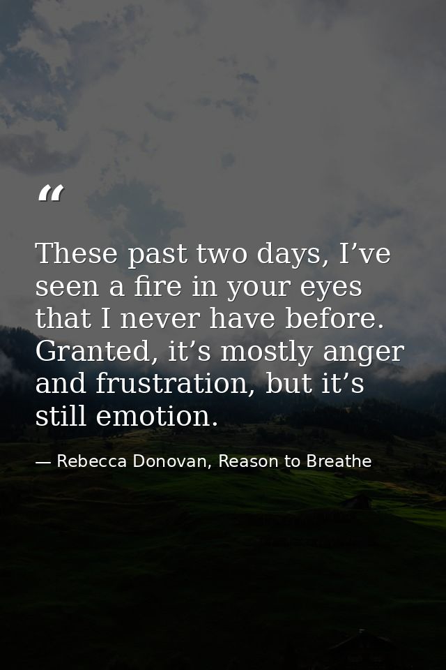 These past two days, I’ve seen a fire in your eyes that I never have before. Granted, it’s mostly anger and frustration, — Rebecca Donovan, Reason to Breathe