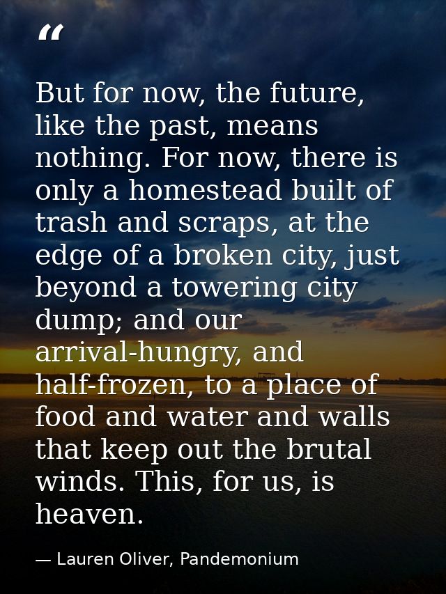 But for now, the future, like the past, means nothing. For now, there is only a homestead built of trash and scraps, at  — Lauren Oliver, Pandemonium