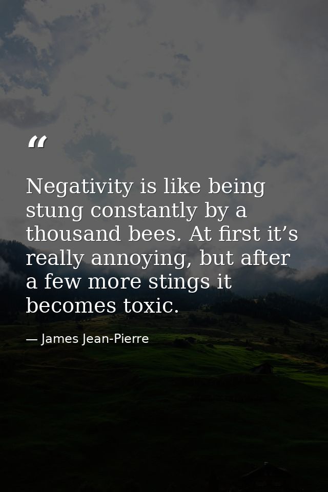 Negativity is like being stung constantly by a thousand bees. At first it’s really annoying, but after a few more stings — James Jean-Pierre