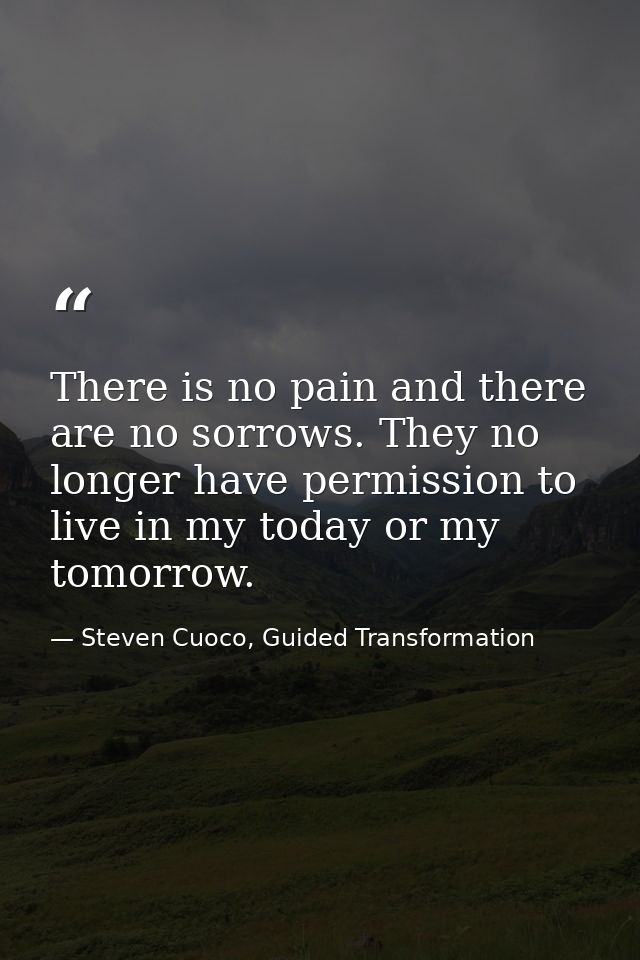 There is no pain and there are no sorrows. They no longer have permission to live in my today or my tomorrow. — Steven Cuoco, Guided Transformation