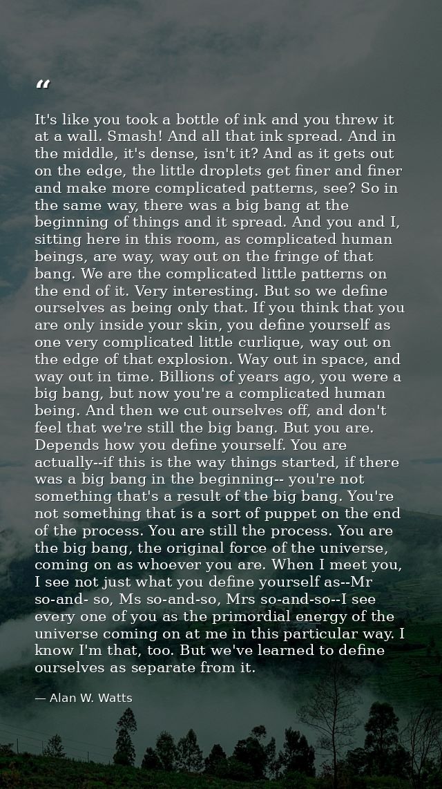 It's like you took a bottle of ink and you threw it at a wall. Smash! And all that ink spread. And in the middle, it's d — Alan W. Watts