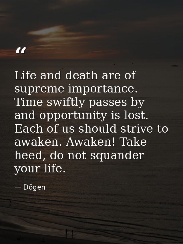 Life and death are of supreme importance. Time swiftly passes by and opportunity is lost. Each of us should strive to aw — Dōgen