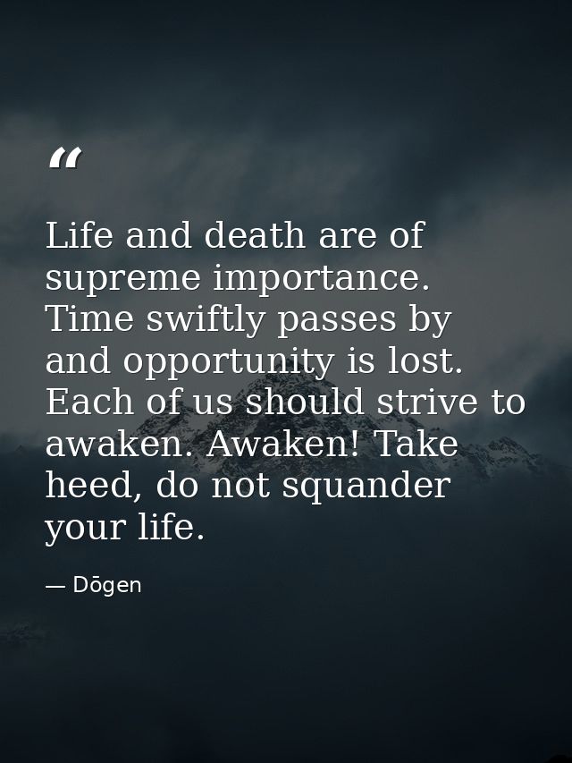 Life and death are of supreme importance. Time swiftly passes by and opportunity is lost. Each of us should strive to aw — Dōgen