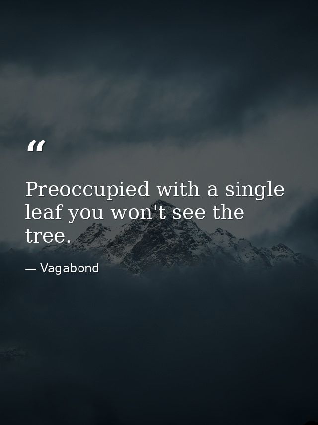Preoccupied with a single leaf you won't see the tree. — Vagabond