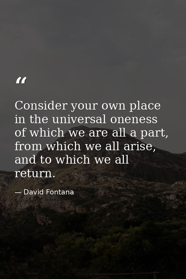 Consider your own place in the universal oneness of which we are all a part, from which we all arise, and to which we al — David Fontana