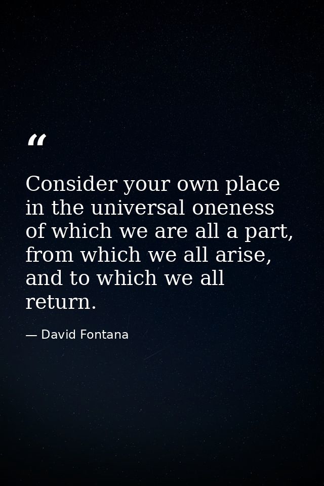 Consider your own place in the universal oneness of which we are all a part, from which we all arise, and to which we al — David Fontana