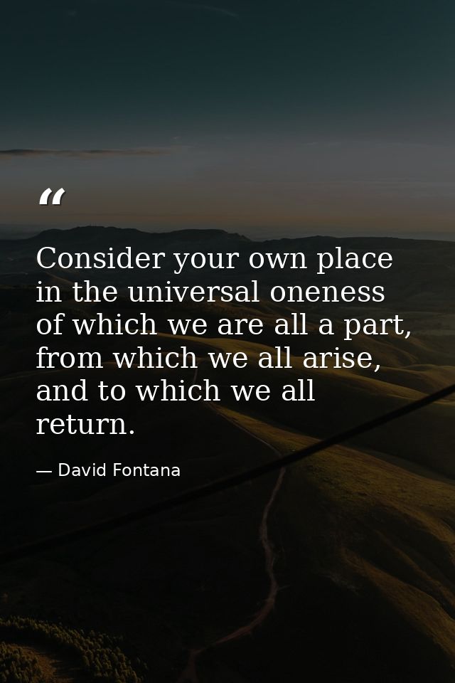 Consider your own place in the universal oneness of which we are all a part, from which we all arise, and to which we al — David Fontana