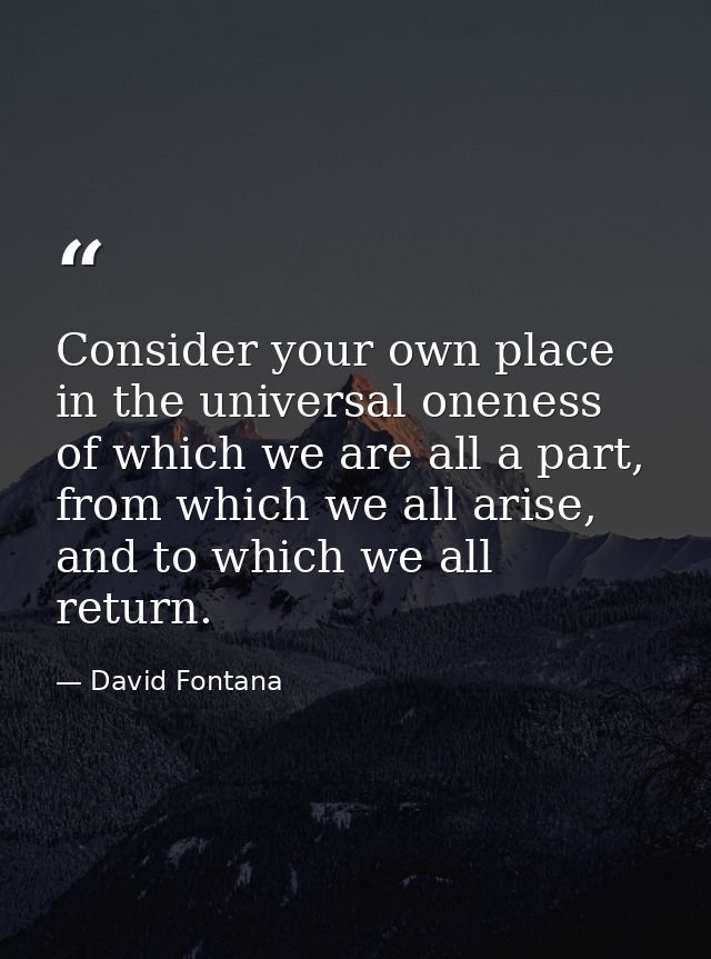 Consider your own place in the universal oneness of which we are all a part, from which we all arise, and to which we al — David Fontana