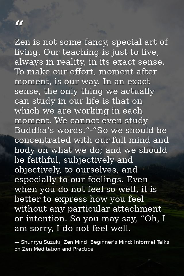 Zen is not some fancy, special art of living. Our teaching is just to live, always in reality, in its exact sense. To ma — Shunryu Suzuki, Zen Mind, Beginner's Mind: Informal Talks on Zen Meditation and Practice