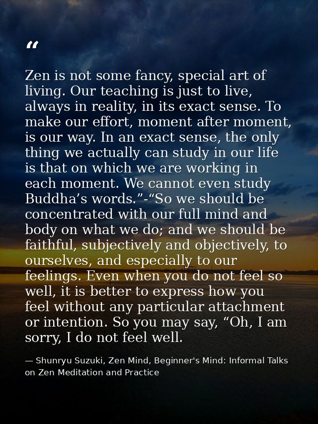 Zen is not some fancy, special art of living. Our teaching is just to live, always in reality, in its exact sense. To ma — Shunryu Suzuki, Zen Mind, Beginner's Mind: Informal Talks on Zen Meditation and Practice