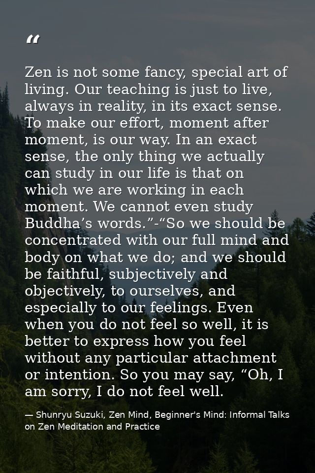 Zen is not some fancy, special art of living. Our teaching is just to live, always in reality, in its exact sense. To ma — Shunryu Suzuki, Zen Mind, Beginner's Mind: Informal Talks on Zen Meditation and Practice