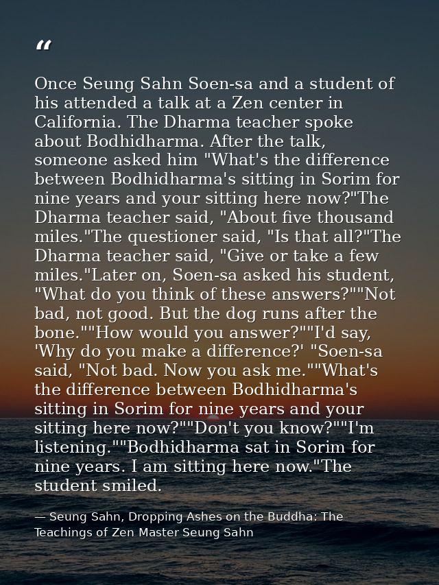 Once Seung Sahn Soen-sa and a student of his attended a talk at a Zen center in California. The Dharma teacher spoke abo — Seung Sahn, Dropping Ashes on the Buddha: The Teachings of Zen Master Seung Sahn
