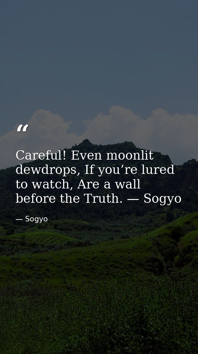 Careful! Even moonlit dewdrops, If you’re lured to watch, Are a wall before the Truth. — Sogyo — Sogyo