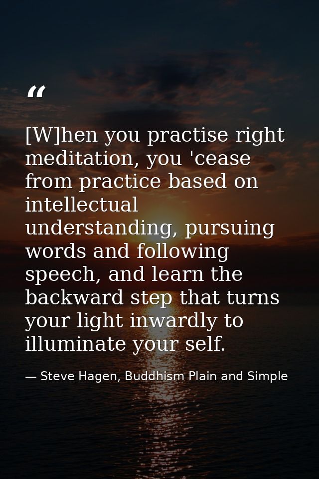 [W]hen you practise right meditation, you 'cease from practice based on intellectual understanding, pursuing words and f — Steve Hagen, Buddhism Plain and Simple
