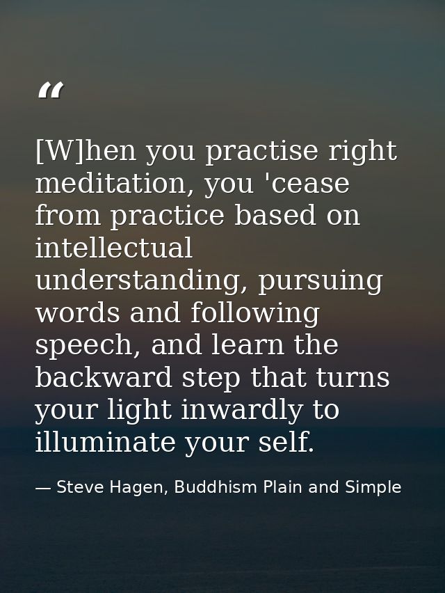 [W]hen you practise right meditation, you 'cease from practice based on intellectual understanding, pursuing words and f — Steve Hagen, Buddhism Plain and Simple
