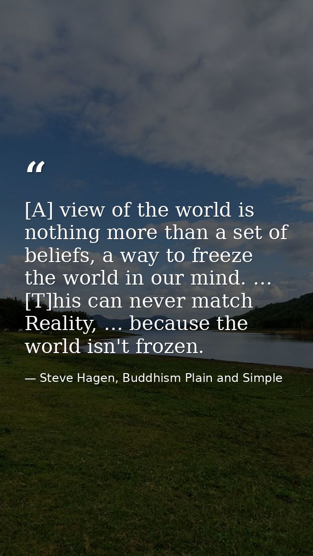 [A] view of the world is nothing more than a set of beliefs, a way to freeze the world in our mind. … [T]his can never m — Steve Hagen, Buddhism Plain and Simple