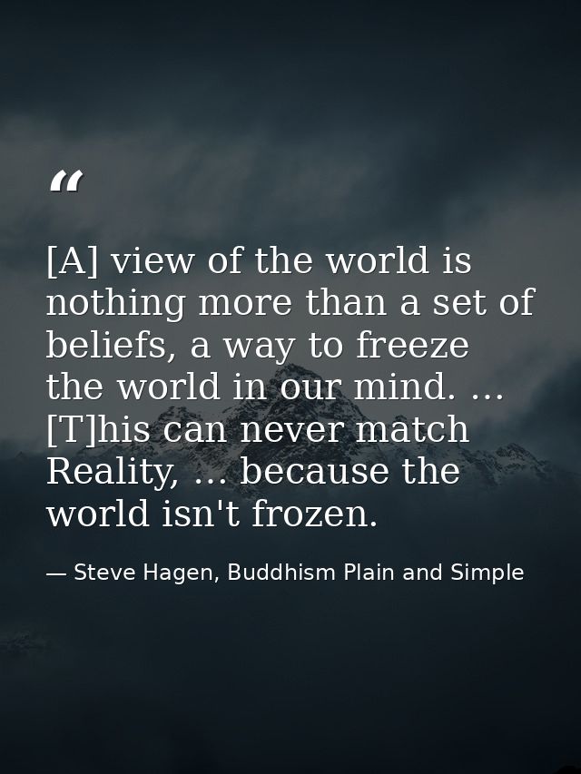 [A] view of the world is nothing more than a set of beliefs, a way to freeze the world in our mind. … [T]his can never m — Steve Hagen, Buddhism Plain and Simple