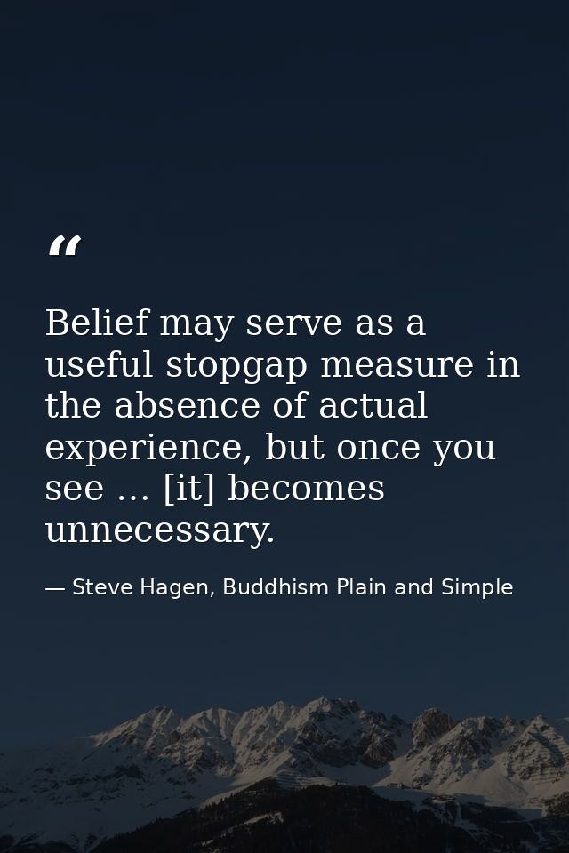 Belief may serve as a useful stopgap measure in the absence of actual experience, but once you see … [it] becomes unnece — Steve Hagen, Buddhism Plain and Simple