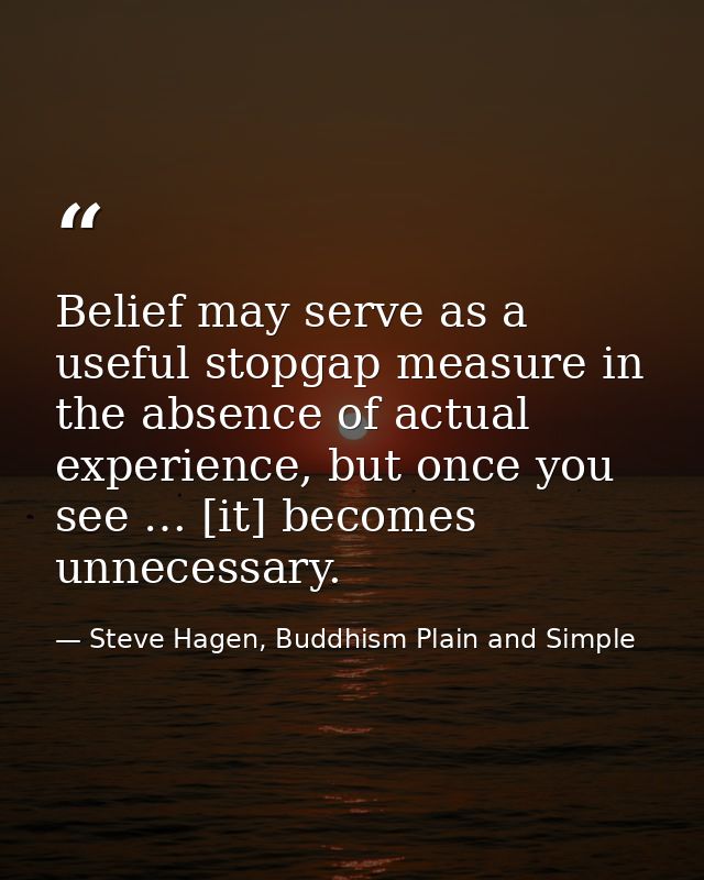 Belief may serve as a useful stopgap measure in the absence of actual experience, but once you see … [it] becomes unnece — Steve Hagen, Buddhism Plain and Simple
